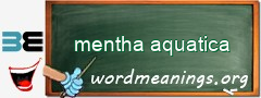 WordMeaning blackboard for mentha aquatica